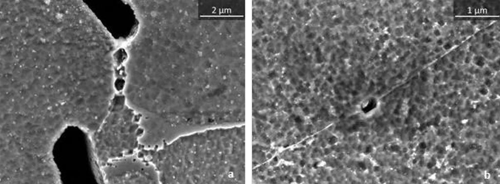 Fig. 11 FESEM images of Hastelloy X solution treated at 1175°C for 1 h followed by water quenching, after etching [3]