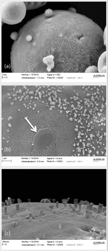 Fig. 2 SEMs of powder aged at parameter set A4 [1]