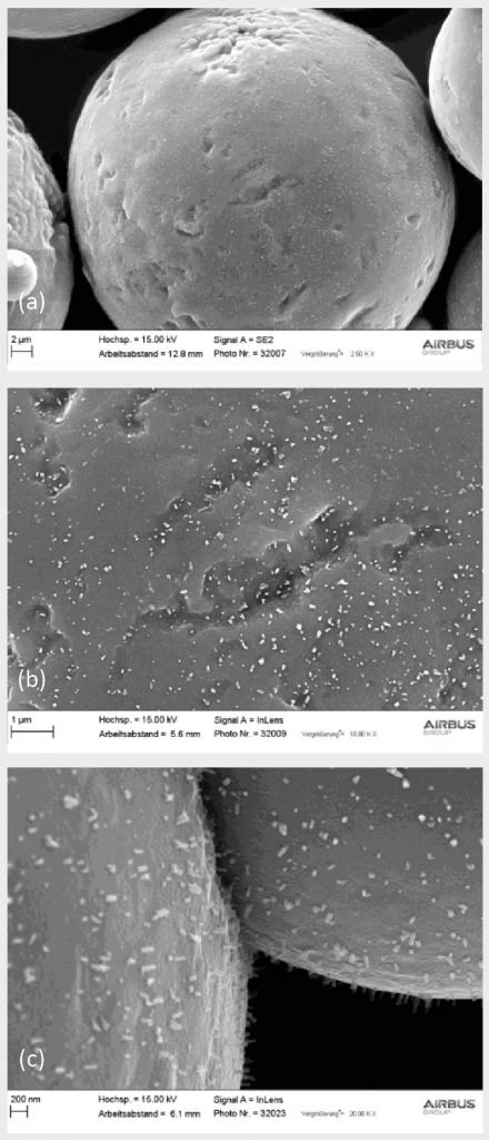 Fig. 3 SEMs of powder aged at parameter set A5 [1]