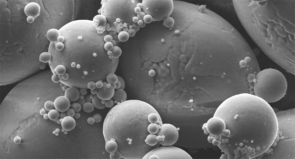 Fomas and Inteco to manufacture metal powders for 3D printing Fomas and Inteco to manufacture metal powders for 3D printing