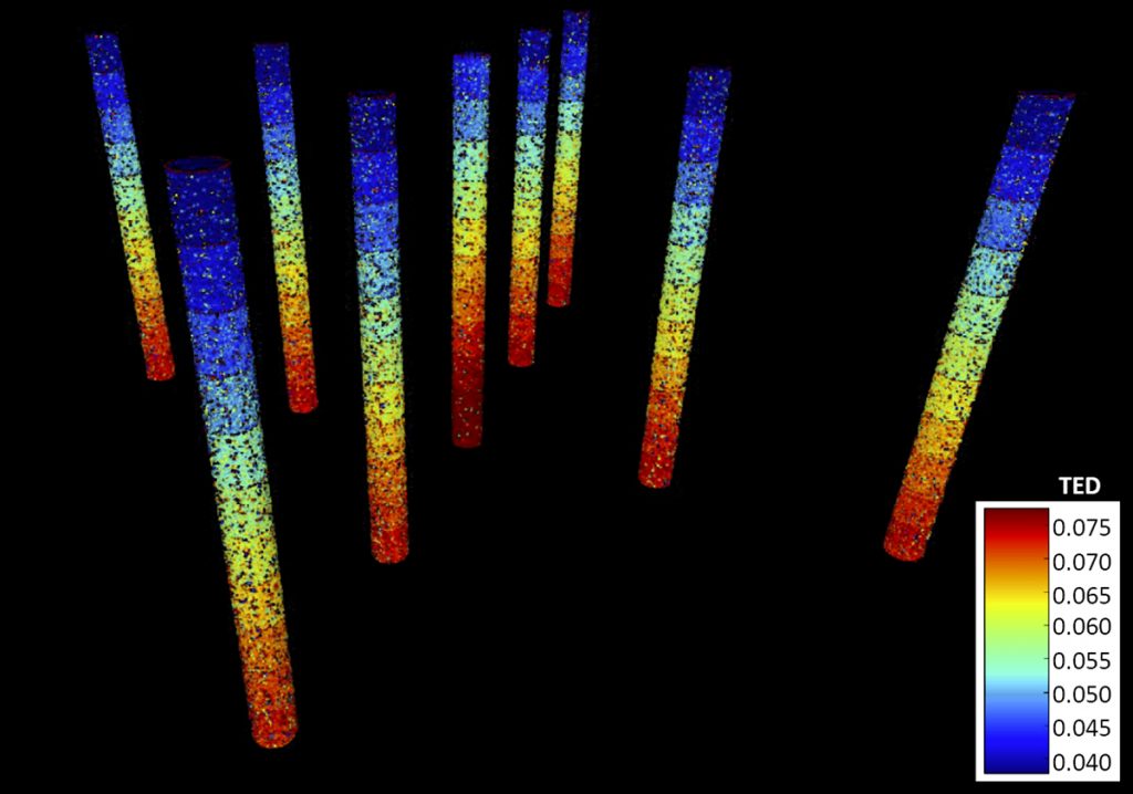 Fig. 8 3D point cloud visualisation of TED