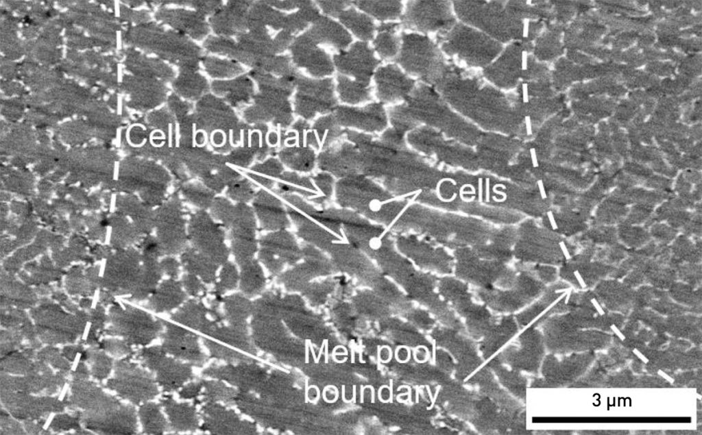 Fig. 11 SEM image showing the cellular sub-grain structure of the Mo-HfC sample. The cell size is related to the position in the melt pool. EDX measurements show that cells contain Mo and Hf, while the cell boundary contains Mo, Hf, and C. For Mo-TaC, similar results are obtained, except that Hf is exchanged with Ta [4]