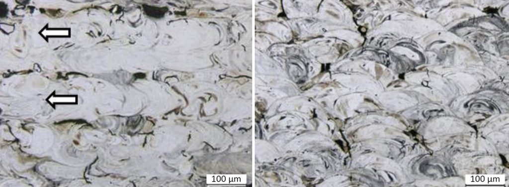 Fig. 11 Cross-sectional microstructures of 316L+3%Cr3C2 tensile samples for (left) vertical and (right) horizontal building directions [2]