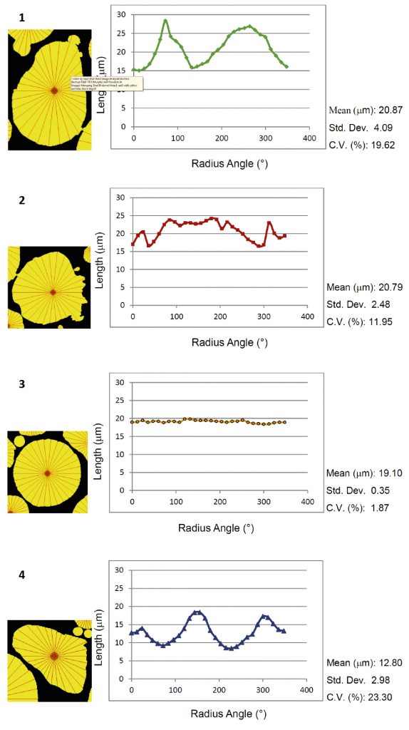 Fig. 24 The four particles chosen as examples of the radius function from an analysis field [6]