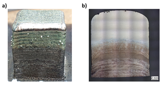 Fig. 2 External view on FGM on build plate (a) and etched cross-section (b)