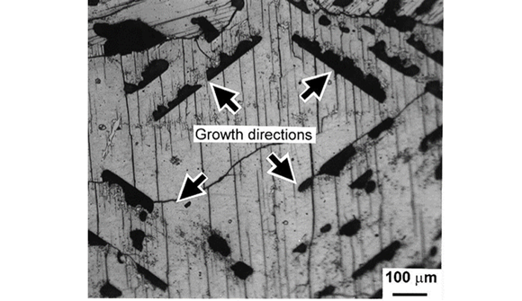 One of the many questions posed in the book looks to question the entrapped pores within this BaCeO3 material. It asks to explain the possible causes of the formation of the crystallographically aligned pores with elongated shape (Courtesy Prof Suk-Joong L Kang)