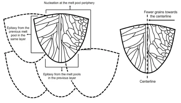 Schematic illustrations of grain growth mechanisms proposed in this study. Seen left are typical locations of epitaxy and grain nucleation in a melt pool during its formation. On the right, the number of grains decreases from the edge to the centerline (CourtesyScripta Materialia)