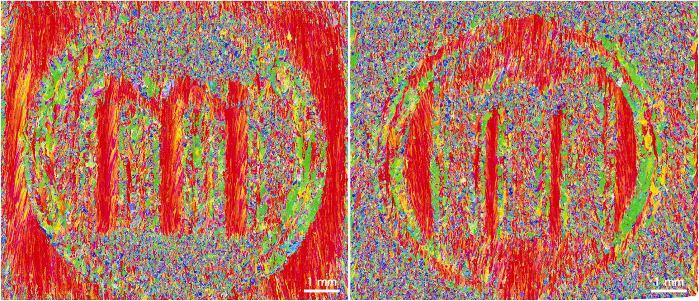 Large EBSD IPF maps illustrating 2D microstructure design, patterned to replicate the logo of IMDEA Materials’ Sustainable Metallurgy research group (Courtesy IMDEA)