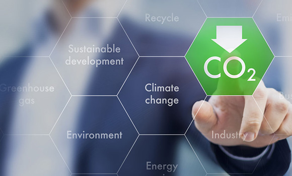 Emery Oleochemicals has appointed Manuela Eggert as Global Sustainability Manager (Courtesy Emery Oleochemicals)