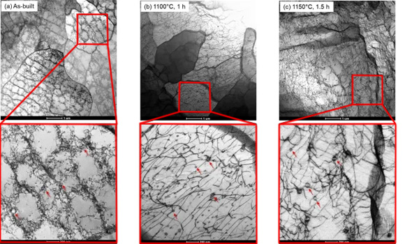 Scanning transmission electron microscopy images of AM 316H stainless steel before (a) and after (b and c) two heat treatment techniques; red arrows indicate nano oxides, which greatly impact the steel’s response to heat treatment (Courtesy Argonne National Laboratory)