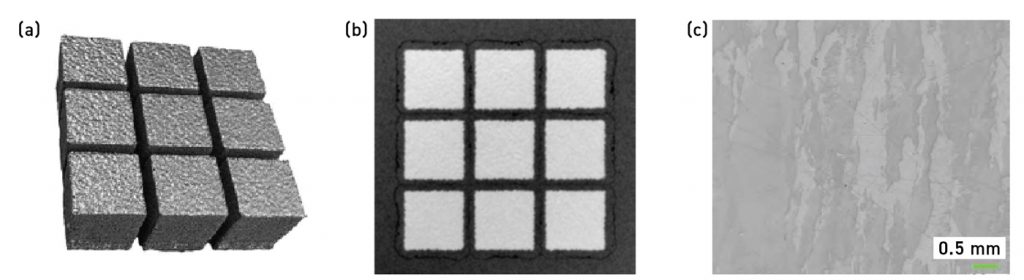 Fig. 12 Density cubes built in Freemelt systems. (a) 12 x 12 x 12 mm cubes (b) an electron image (c) a polished cross-section [17]