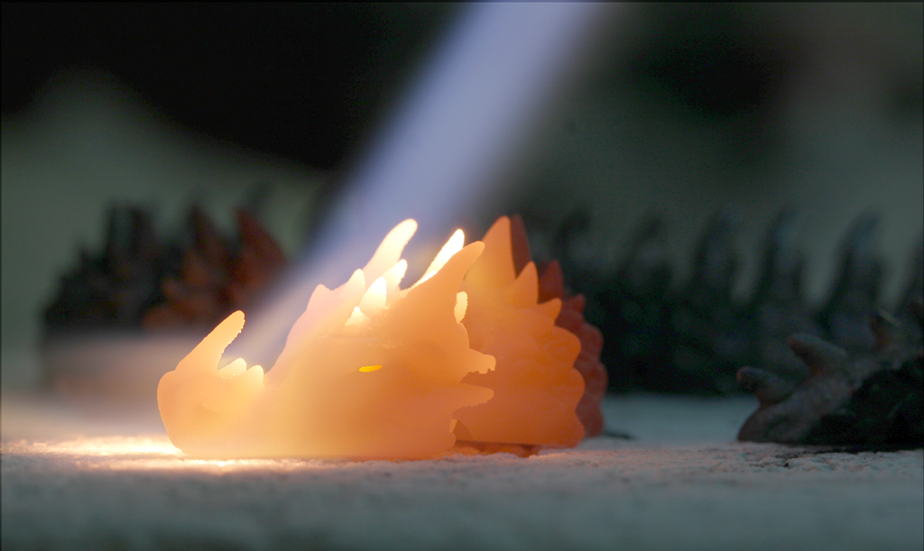 Fig. 2 This glowing hot GRX-810 dragon’s head illustrates the hot, oxidising environment that injectors and combustor domes have to endure (Courtesy NASA)