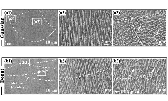 SEM images of PBF-LB-fabricated specimens. (a) Gaussian beam; (b) ring beam (Courtesy Avimetal/Journal of Materials Research and Technology)
