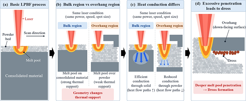 Schematic of geometry-dependent melt-pool behaviour and overhang dross formation (Courtesy Hong et al., Journal of Intelligent Manufacturing)