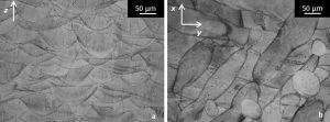 Fig. 10 Optical images of etched as-built samples: yz plane, showing the growth direction z (a) and cross-section xy plane (b) [3]