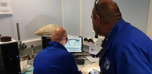 TWI to hold two courses on metallography this October