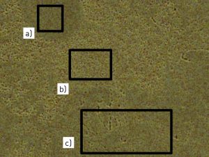 Fig. 4 D1 EDX measured areas