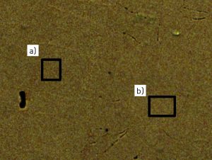 Fig. 5 D2 EDX measured areas