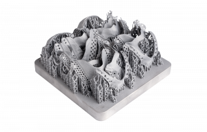 Fig. 1 Full platform with removable partial dentures in CoCr, manufactured on the DMP Flex 200 (Courtesy 3D Systems)