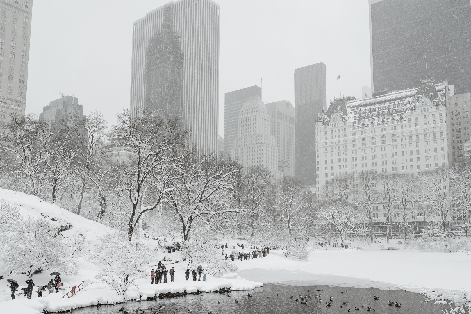 Fig. 1 Central Park after February’s blizzard (Courtesy Adobe Stock/white78)