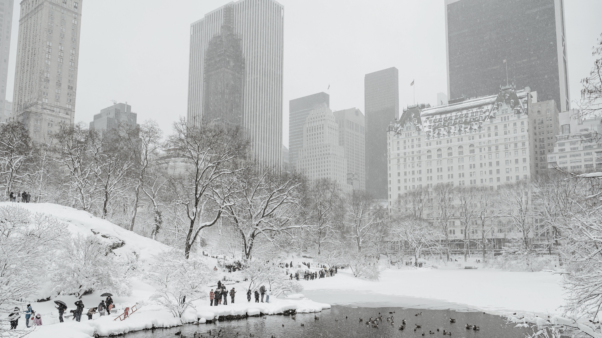 Fig. 1 Central Park after February’s blizzard (Courtesy Adobe Stock/white78)