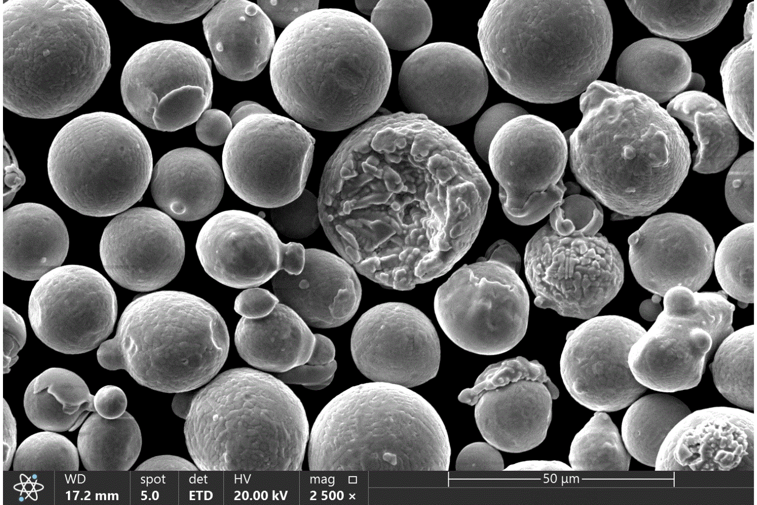 Fig. 4 SEM image of the metal powder Haynes 282